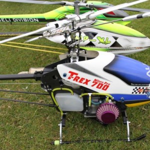 Mijn heli's een dagje op het veld bij Friendship te Dalfsen.
