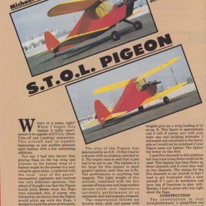 STOL pigeon