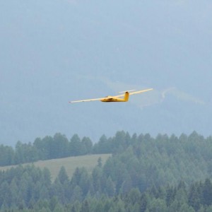 IMG 7443