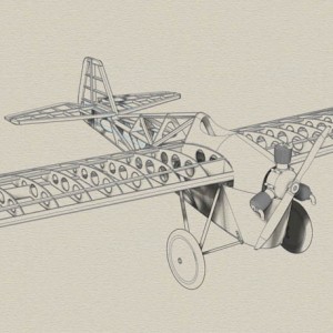 Carley12A