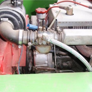 P7060042 (Medium)