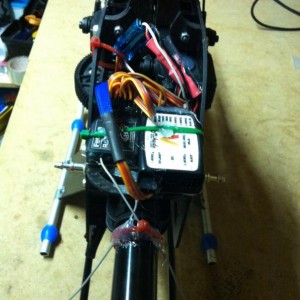 TDRex v2.1