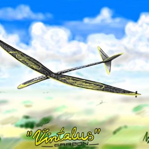 vintalus carbon