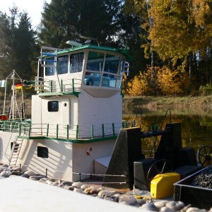 06