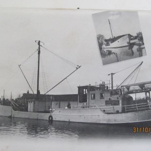 Afbeelding 003