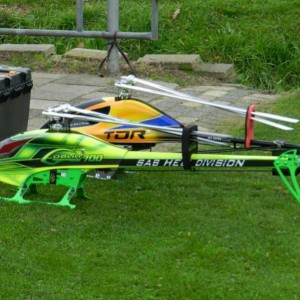 my goblin 700 (TDRex next to it)