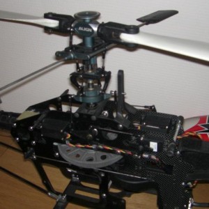 trex5