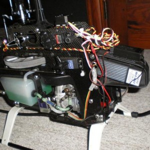 t rex 600 N 01