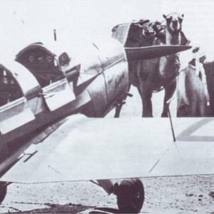 Bucker Bu 180 31