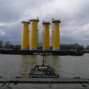 Iemand 4 dildo's kwijt?