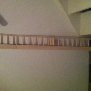 IMG 1478[1]