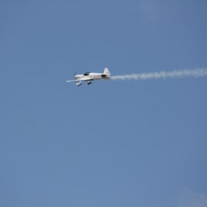 IMG 4630