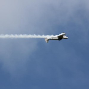 IMG 4640