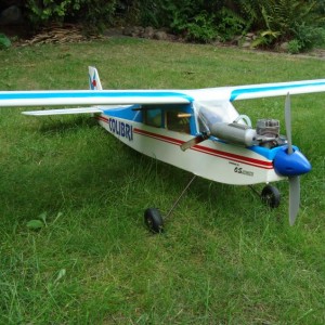 colibri 02