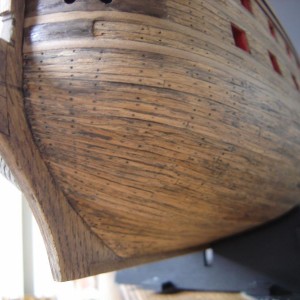 DSC05304 (800x600)