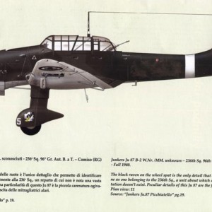 Junkers Picchiatello 004
