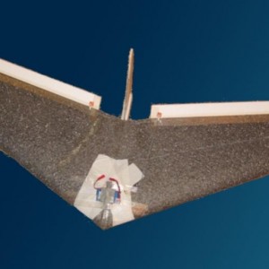 RMD foamboard elevons wing