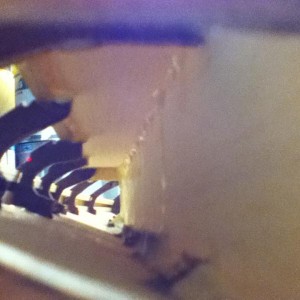 foto 2 (56)