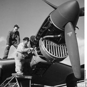 Junkers Picchiatello 109