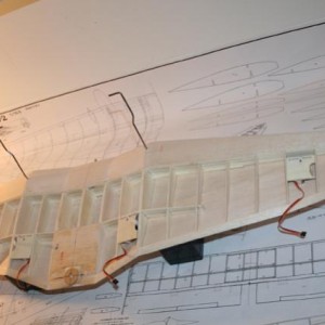 Junkers Picchiatello 116
