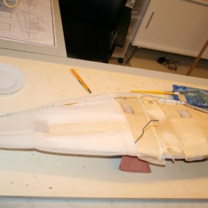 Junkers Picchiatello 203
