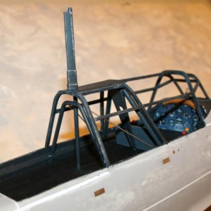 Junkers Picchiatello 245