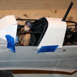 Junkers Picchiatello 261