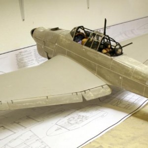 Junkers Picchiatello 268