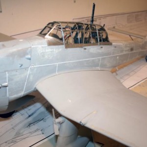 Junkers Picchiatello 290