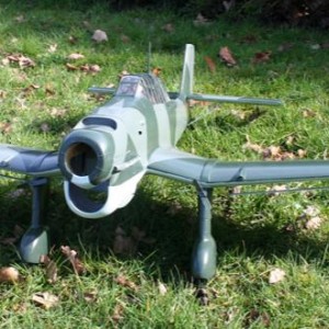 Junkers Picchiatello 306