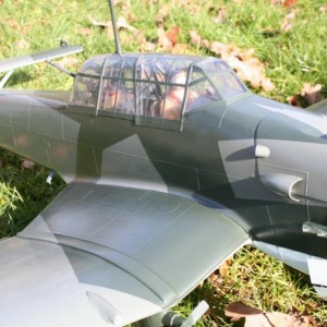 Junkers Picchiatello 313