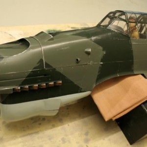 Junkers Picchiatello 317