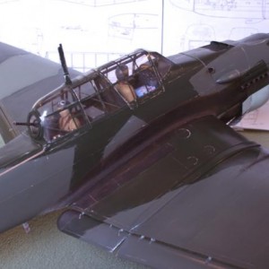 Junkers Picchiatello 363