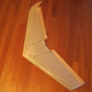 wing evo