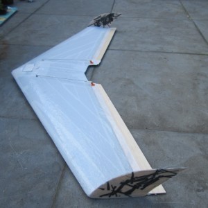 wing