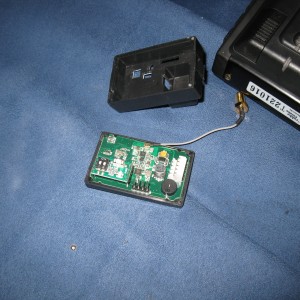 IMG 2358