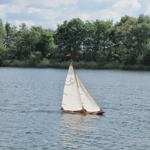 IMG 7437