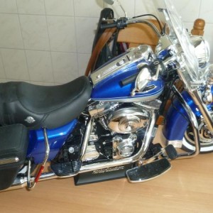 015 met zadel