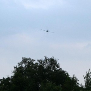 Bucker Bu 180 231