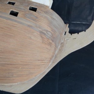 cDSC 1527