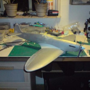 wing spit