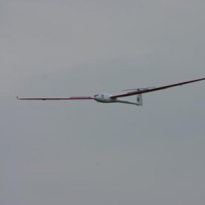 IMG 3059