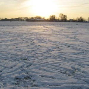 IMG 5997 600