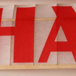 hast224
