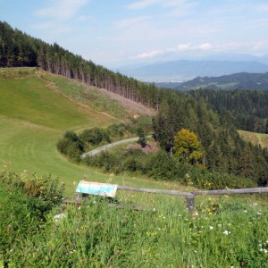 10 Birkerhohe
