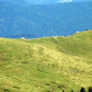 16 Wandelaars op de Stubalpe