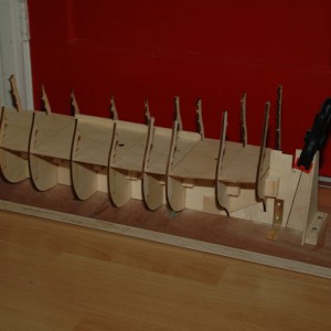 DSC 0320
