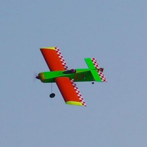 P1010567