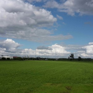 Hattem_airport