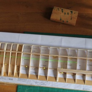 Biwing1
